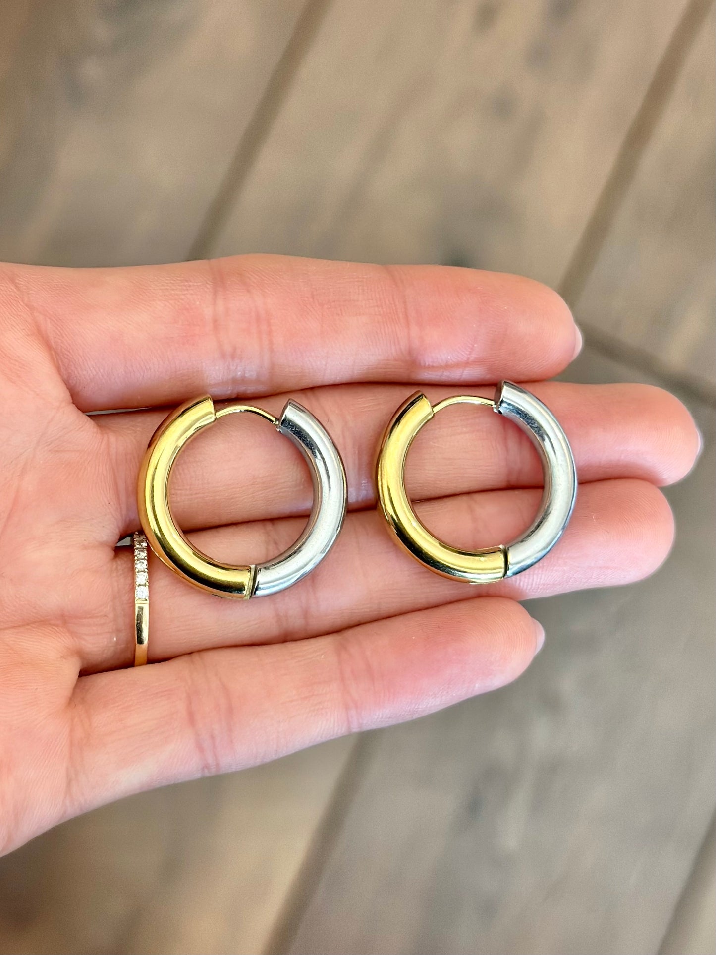 Begonia Hoops