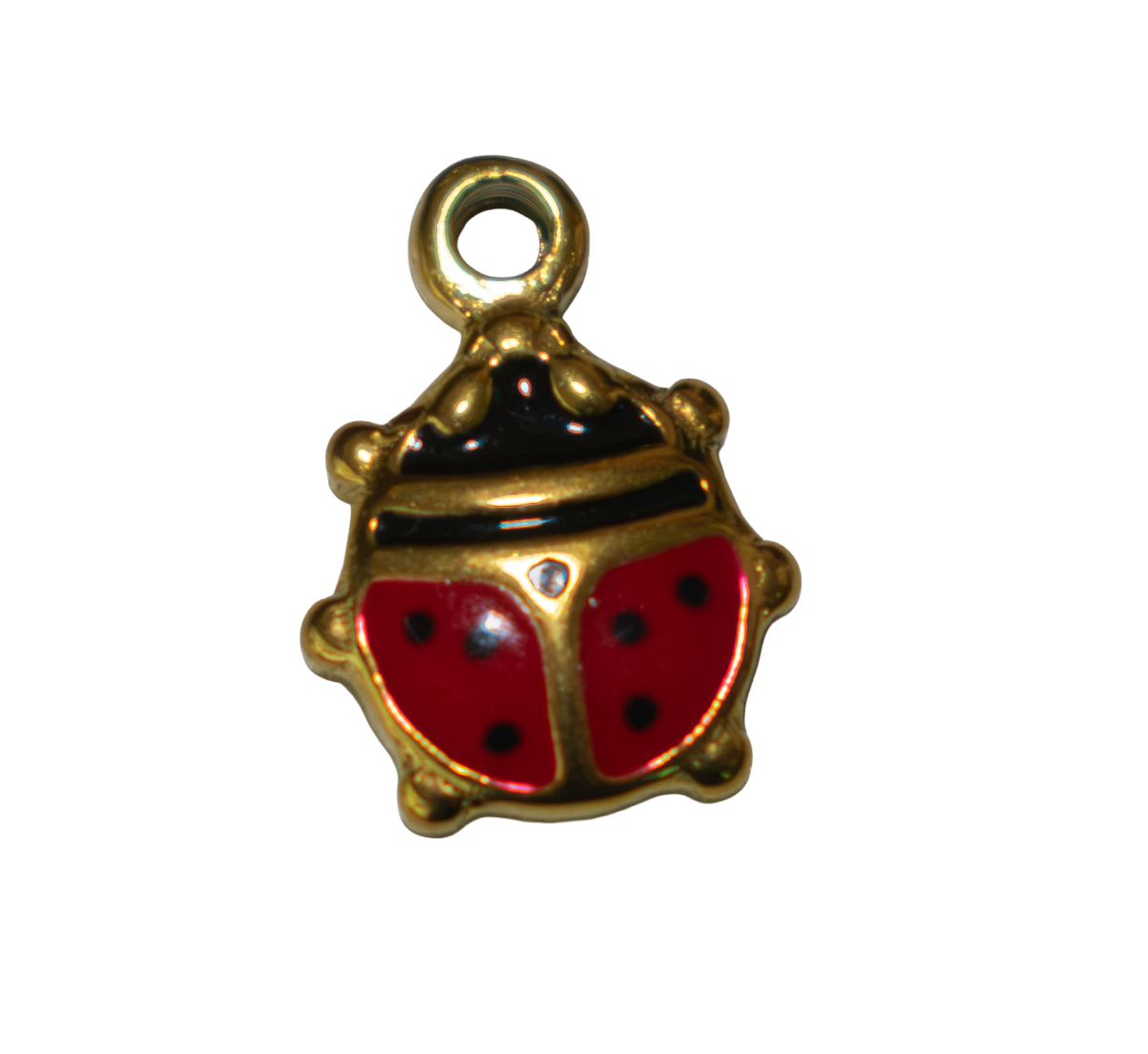 Catarina - Charm