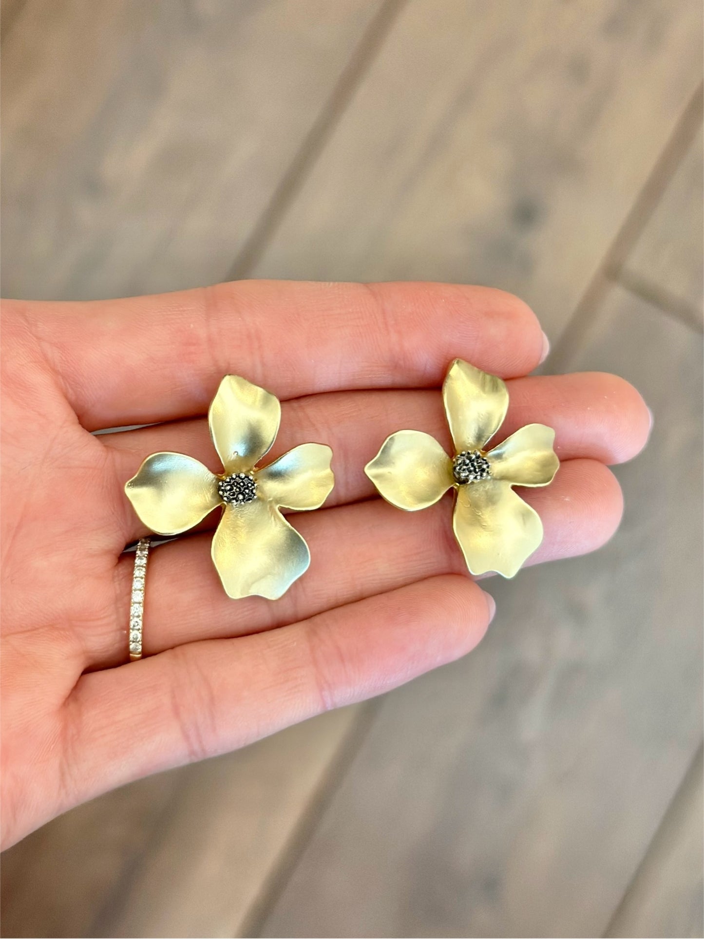 Aretes Iris