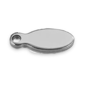 Pez - Plateado - Charm
