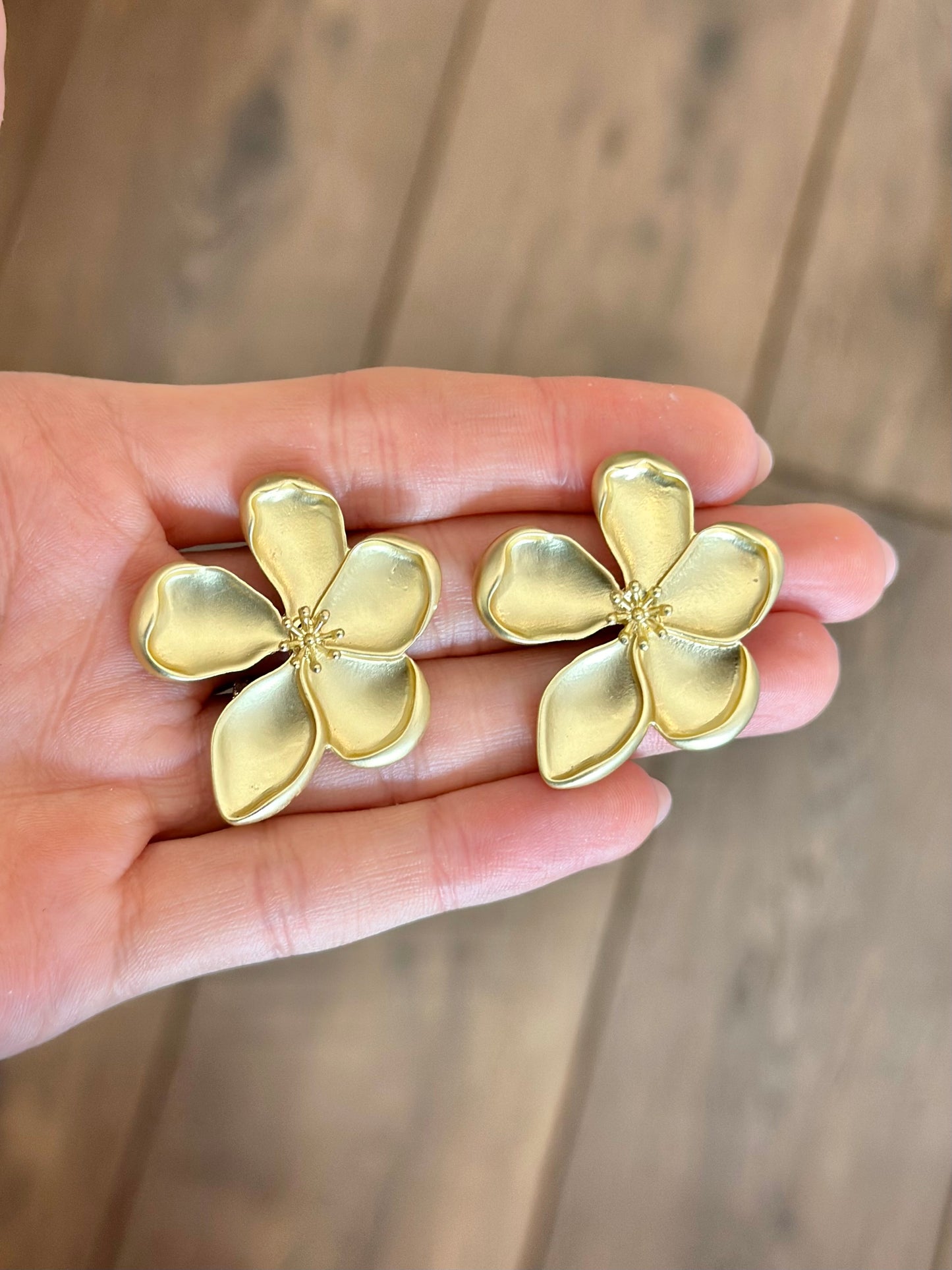 Aretes Cerezo