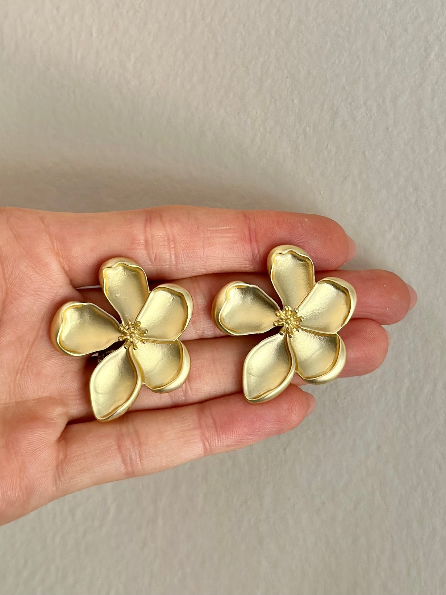 Aretes Cerezo