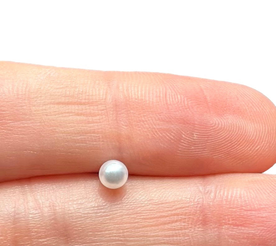 Perlas Flavia