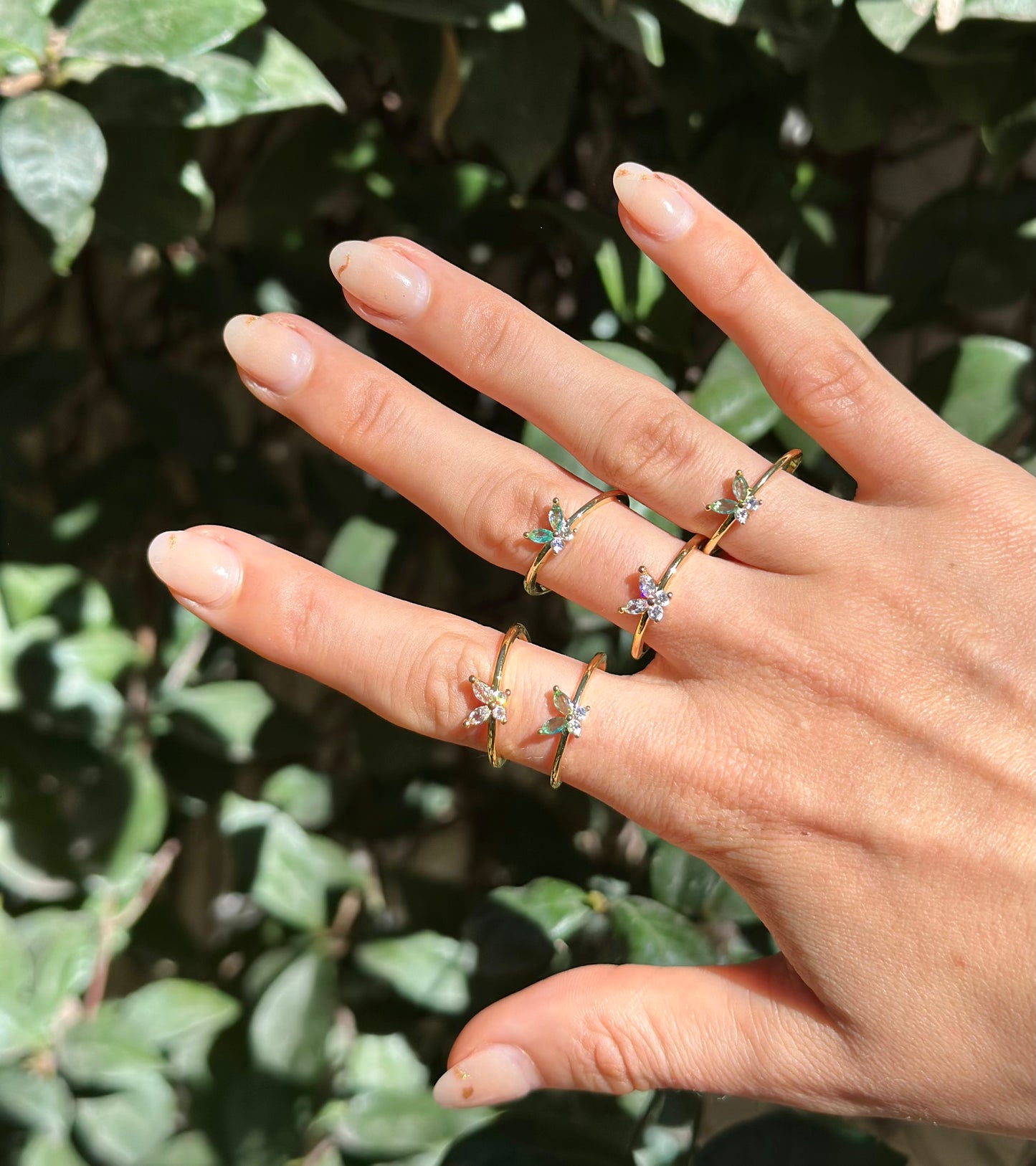 Anillo Mariposa
